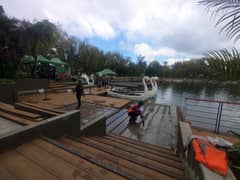 Repairs hit Burnham Lake walkway weeks after reopening