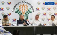 Gov’t defends rice import halt ahead of harvest