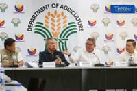 Gov’t defends rice import halt ahead of harvest