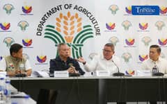 Gov’t defends rice import halt ahead of harvest