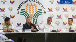 Gov’t defends rice import halt ahead of harvest