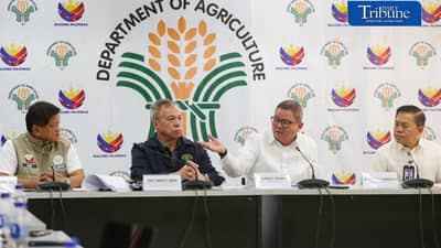 Gov’t defends rice import halt ahead of harvest