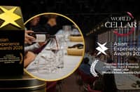 Araneta City wins two Asian Experience Awards