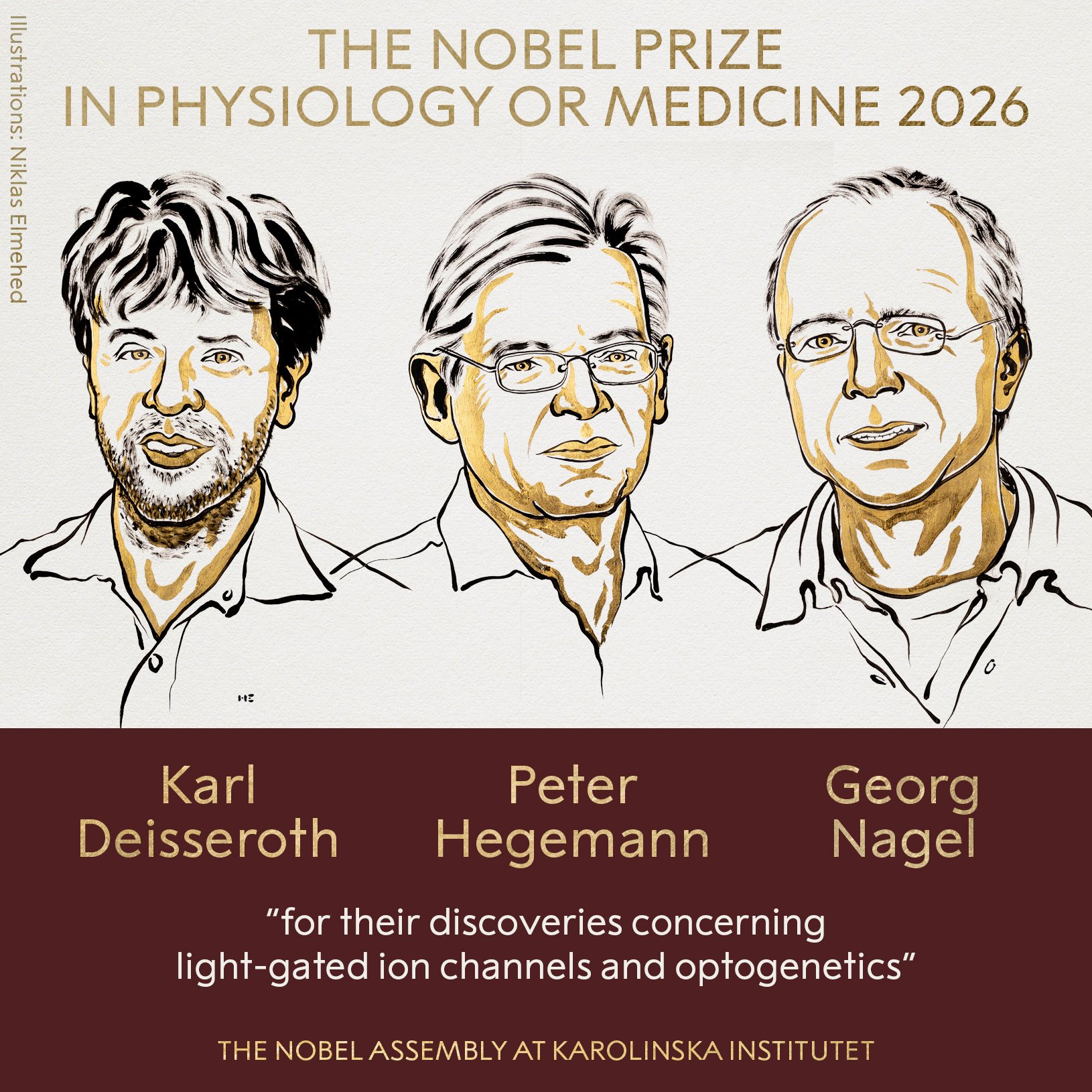 US-German trio win medicine Nobel for work on optogenetics
