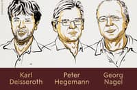 US-German trio win medicine Nobel for work on optogenetics