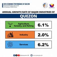 Services drive Quezon’s 4.8% economic growth