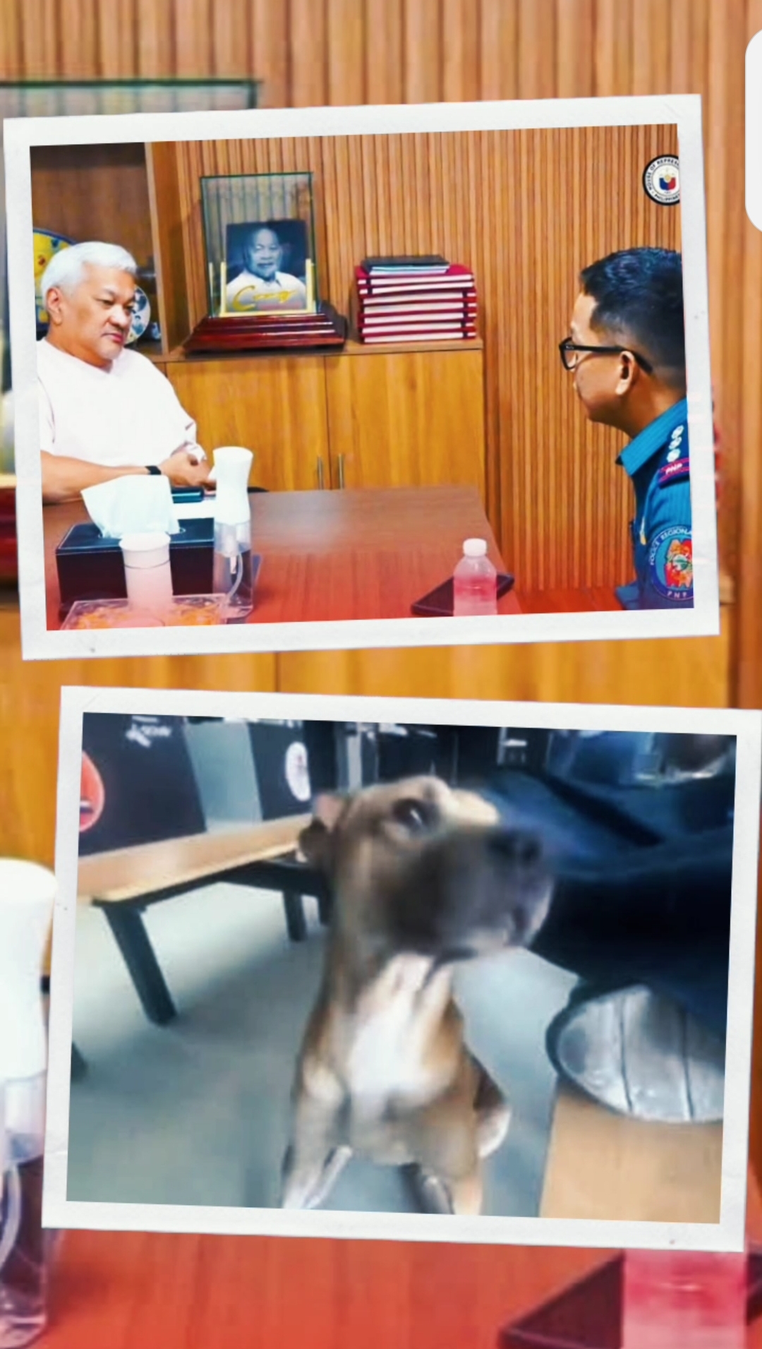 Lazatin gives police 72 hours to act on alleged dog beating