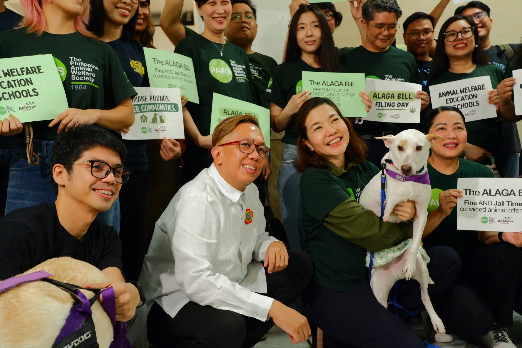 Animals need more legal protection 