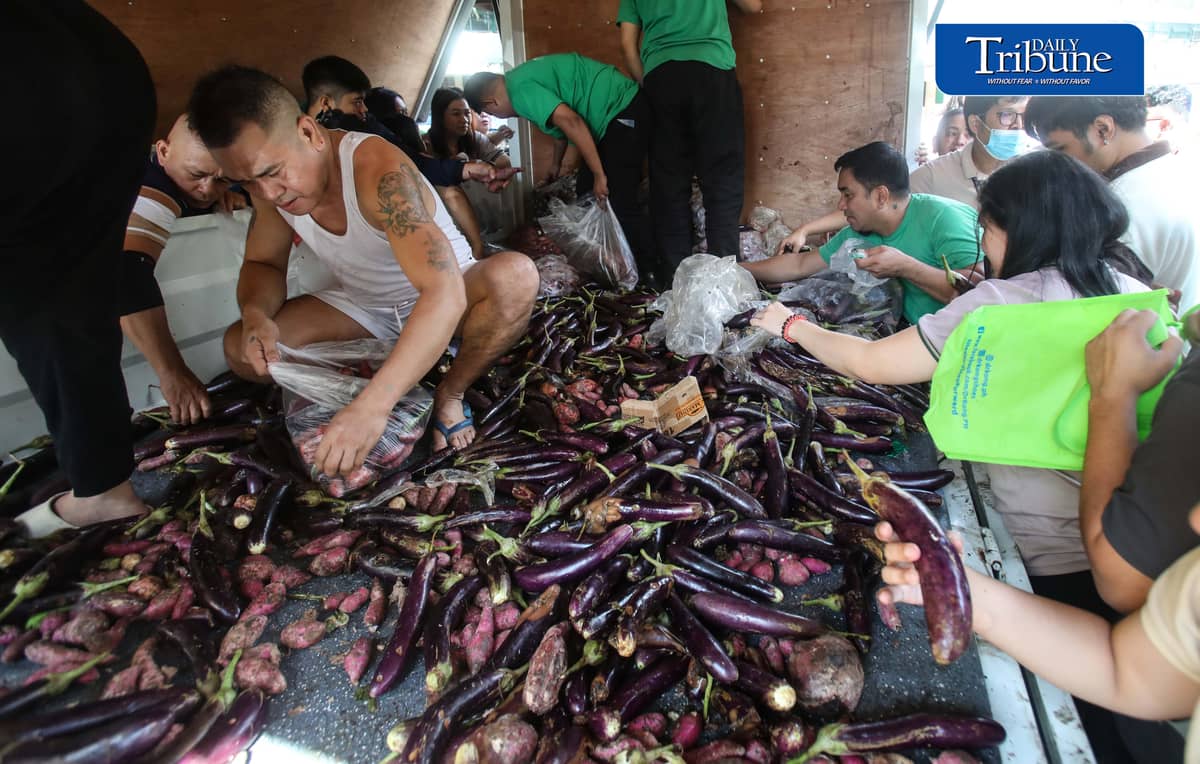 (October 07 2026) The Department of Agriculture employees in Quezon City, select the most beneficial free goods like sweet potato, eggplant and beans, carried by the truck of Kadiwa ng Pangulo program, on Wednesday October 7 2026. Photo/Analy Labor