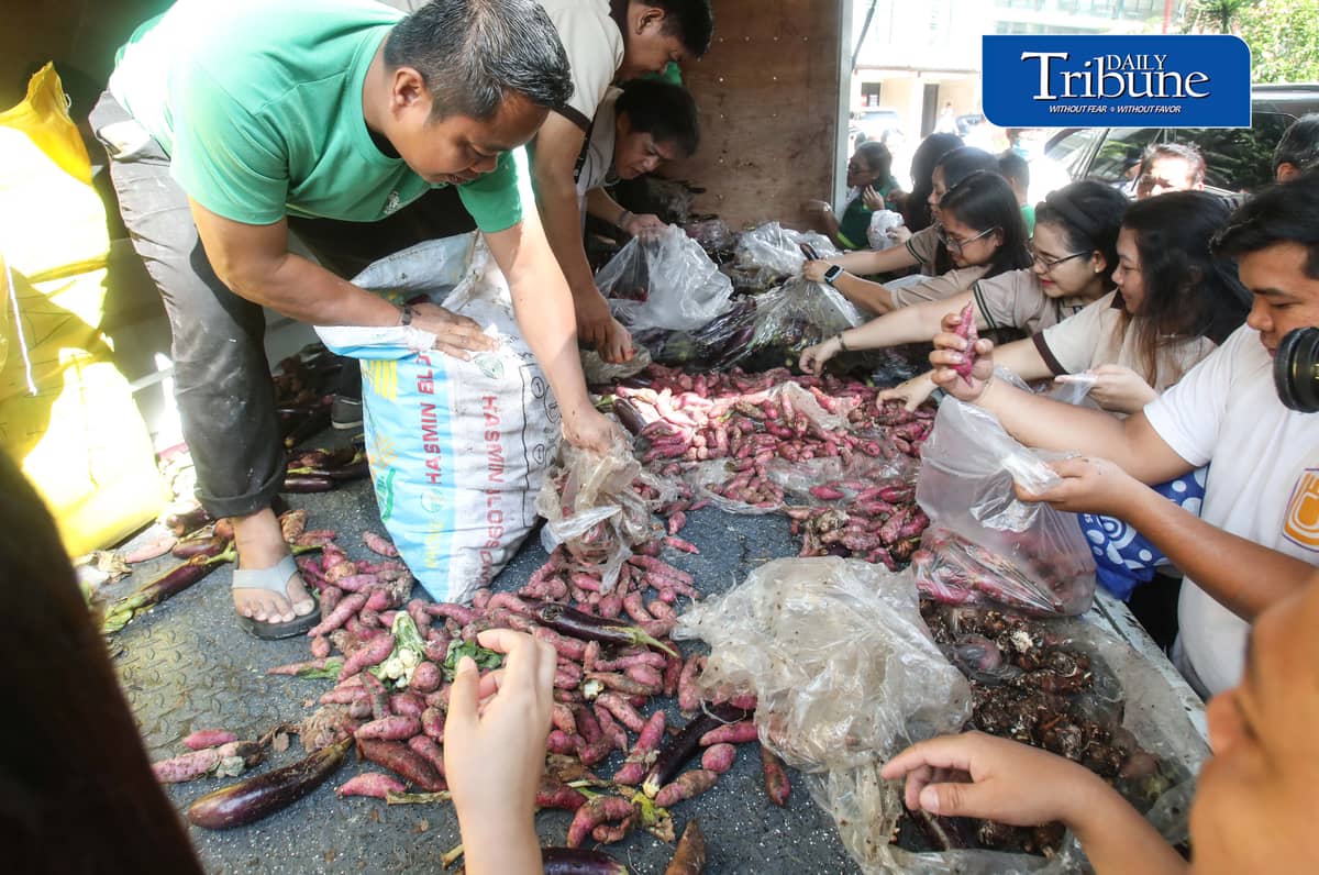 (October 07 2026) The Department of Agriculture employees in Quezon City, select the most beneficial free goods like sweet potato, eggplant and beans, carried by the truck of Kadiwa ng Pangulo program, on Wednesday October 7 2026. Photo/Analy Labor