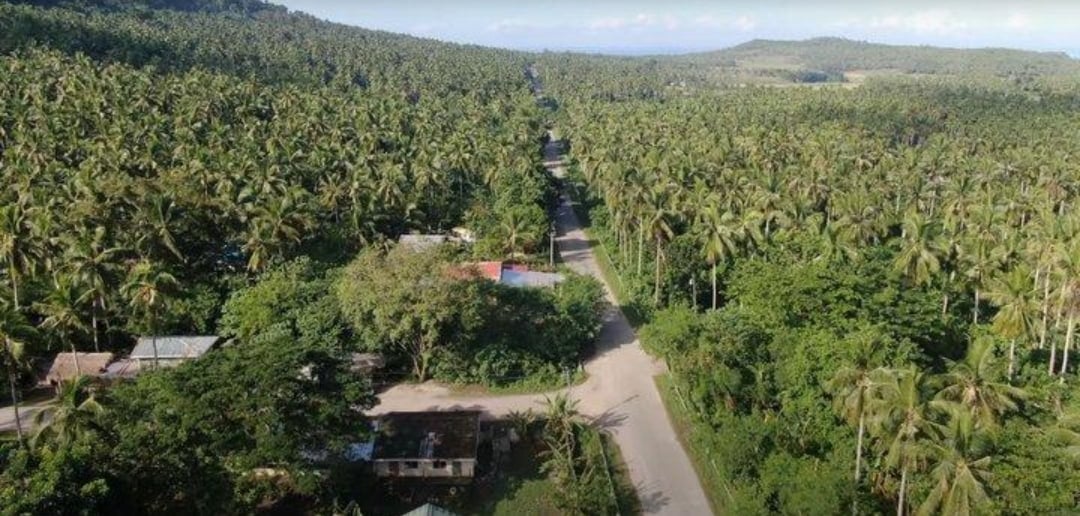 DA-4A sets P1.5-B rollout of 72 farm roads