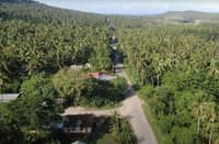 A farm-to-market road runs through a coconut-growing agricultural area in Quezon province.