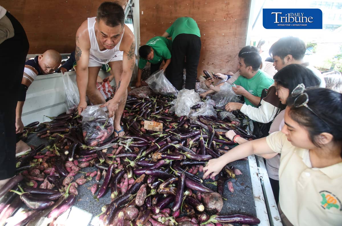 (October 07 2026) The Department of Agriculture employees in Quezon City, select the most beneficial free goods like sweet potato, eggplant and beans, carried by the truck of Kadiwa ng Pangulo program, on Wednesday October 7 2026. Photo/Analy Labor