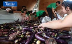 Free vegetables