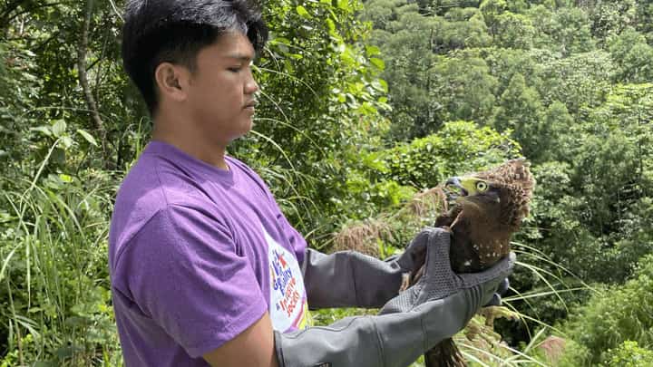 DENR releases four rehabilitated animals in Aurora Memorial National Park