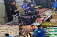 8 held over fake slimming coffee