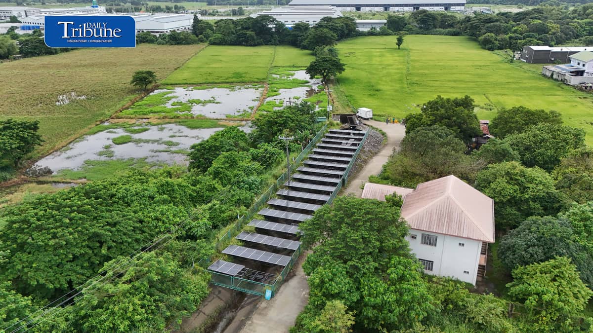 SOLAR POWER KEEPS BULACAN FARMS WATERED
A solar-powered irrigation system in Barangay Sampaloc, San Rafael, Bulacan supplies water to about 150 hectares of farmland while helping six barangays cut electricity and diesel expenses by more than half.
The government aims to expand solar-powered irrigation systems from 4,036 sites to 10,000 nationwide by 2030.
📷 Analy Labor