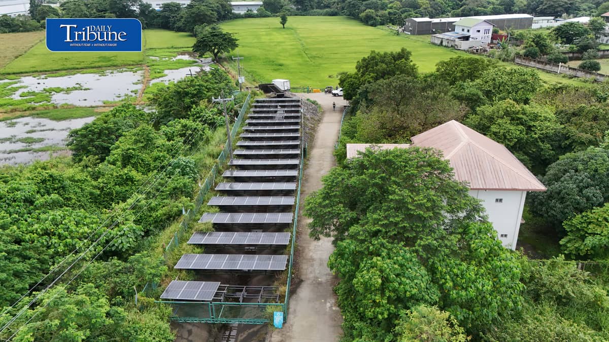 SOLAR POWER KEEPS BULACAN FARMS WATERED
A solar-powered irrigation system in Barangay Sampaloc, San Rafael, Bulacan supplies water to about 150 hectares of farmland while helping six barangays cut electricity and diesel expenses by more than half.
The government aims to expand solar-powered irrigation systems from 4,036 sites to 10,000 nationwide by 2030.
📷 Analy Labor