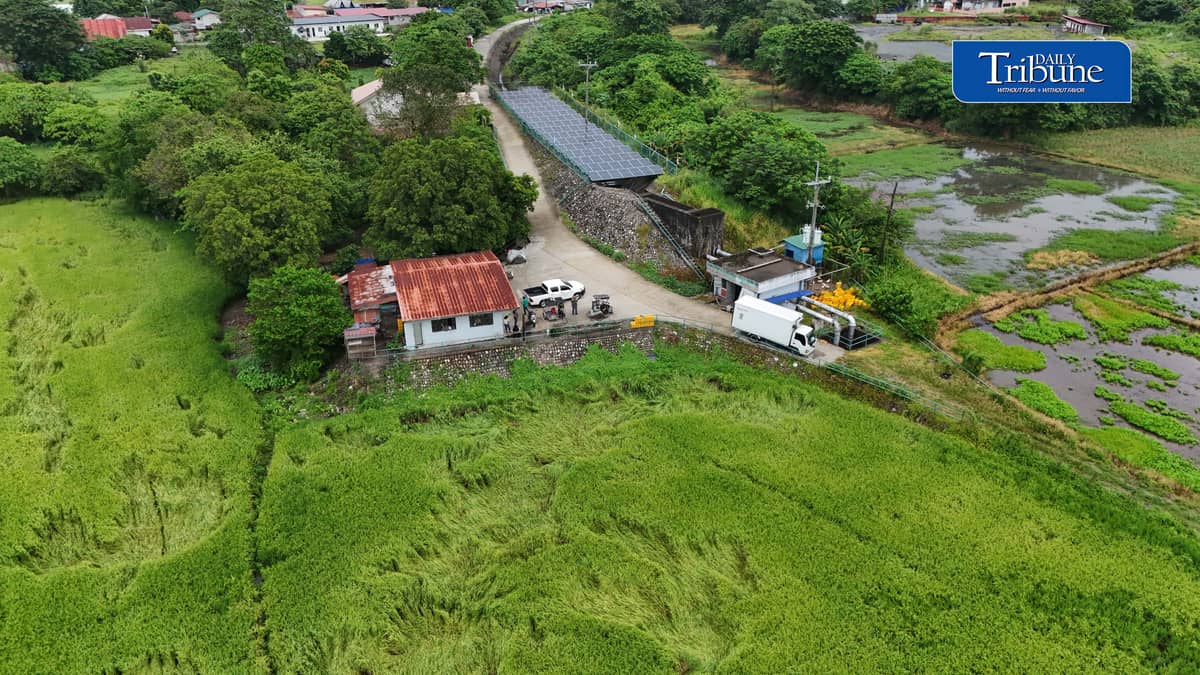 SOLAR POWER KEEPS BULACAN FARMS WATERED
A solar-powered irrigation system in Barangay Sampaloc, San Rafael, Bulacan supplies water to about 150 hectares of farmland while helping six barangays cut electricity and diesel expenses by more than half.
The government aims to expand solar-powered irrigation systems from 4,036 sites to 10,000 nationwide by 2030.
📷 Analy Labor