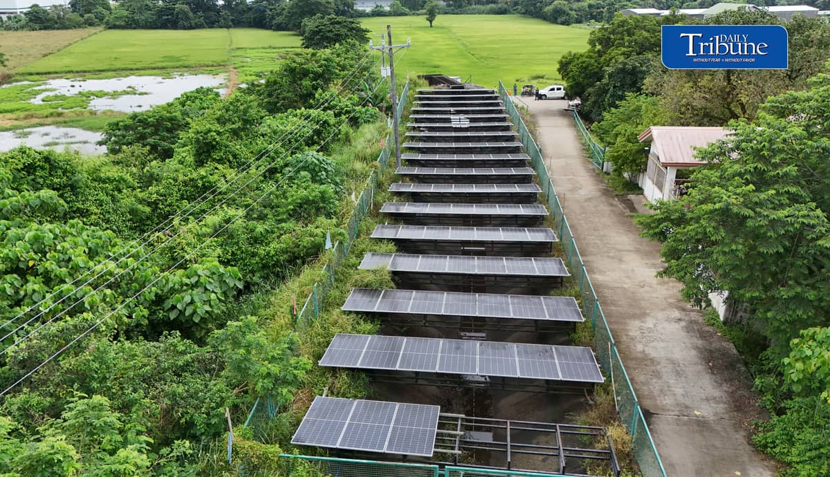 SOLAR POWER KEEPS BULACAN FARMS WATERED
A solar-powered irrigation system in Barangay Sampaloc, San Rafael, Bulacan supplies water to about 150 hectares of farmland while helping six barangays cut electricity and diesel expenses by more than half.
The government aims to expand solar-powered irrigation systems from 4,036 sites to 10,000 nationwide by 2030.
📷 Analy Labor