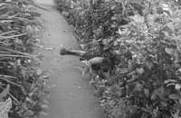 Beheaded IP woman in Lupi, Camarines Sur