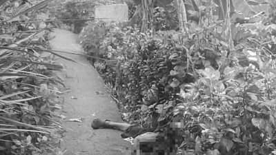 Elderly woman beheaded by kin in Cam. Sur