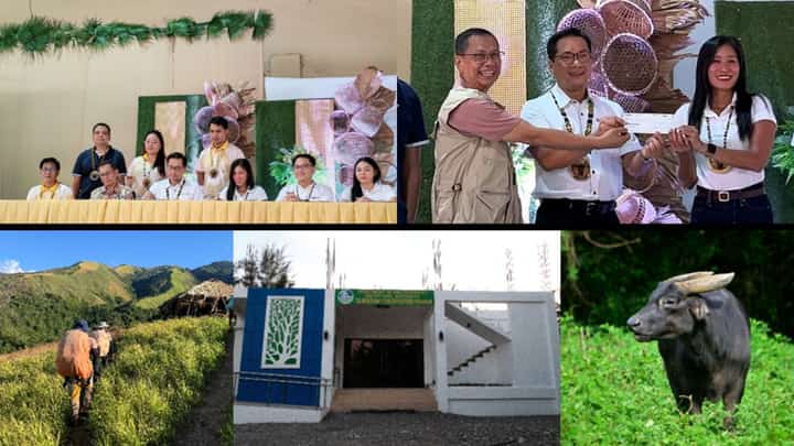 Toyota Philippines gives P3M to save Mindoro tamaraw