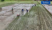UN: El Niño peaks by December