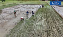 UN: El Niño peaks by December