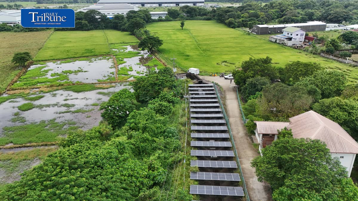 SOLAR POWER KEEPS BULACAN FARMS WATERED
A solar-powered irrigation system in Barangay Sampaloc, San Rafael, Bulacan supplies water to about 150 hectares of farmland while helping six barangays cut electricity and diesel expenses by more than half.
The government aims to expand solar-powered irrigation systems from 4,036 sites to 10,000 nationwide by 2030.
📷 Analy Labor