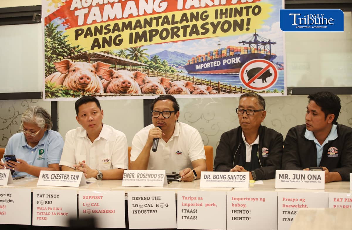 HOG FARMERS PUSH FOR HIGHER PORK IMPORT TARIFFS
Samahang Industriya ng Agrikultura (SINAG) chairman Rosendo So and National Federation of Hog Farmers Inc. president Chester Tan call on the government to restore pork import tariffs to 40 percent for out-of-quota imports and 30 percent for in-quota shipments during a press conference in Quezon City on Friday, 9 October 2026.
The groups say farmgate prices have fallen to P90 to P120 per kilogram despite rising production costs, leaving hog raisers with estimated losses of P5,000 to P9,000 per animal.
They also urge authorities to suspend the release of imported frozen pork from cold storage facilities, strengthen quarantine measures and conduct full inspections of imported meat at ports.
Photo by Analy Labor