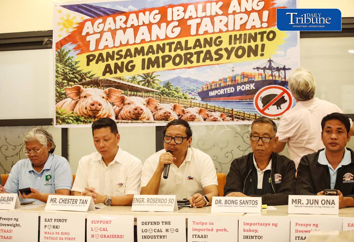 HOG FARMERS PUSH FOR HIGHER PORK IMPORT TARIFFS
Samahang Industriya ng Agrikultura (SINAG) chairman Rosendo So and National Federation of Hog Farmers Inc. president Chester Tan call on the government to restore pork import tariffs to 40 percent for out-of-quota imports and 30 percent for in-quota shipments during a press conference in Quezon City on Friday, 9 October 2026.
The groups say farmgate prices have fallen to P90 to P120 per kilogram despite rising production costs, leaving hog raisers with estimated losses of P5,000 to P9,000 per animal.
They also urge authorities to suspend the release of imported frozen pork from cold storage facilities, strengthen quarantine measures and conduct full inspections of imported meat at ports.
Photo by Analy Labor