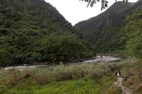 Forested river valley in the Sierra Madre.