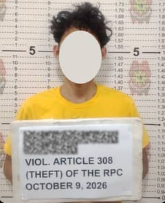 Suspect nabbed for allegedly stealing P330K, 3 phones in QC