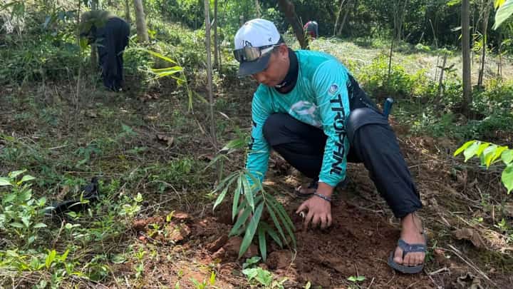 DENR expands bamboo planting in Tarlac