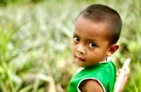 A Blaan boy in a pineapple field. Foothills of Mt. Matutum, South Cotabato.