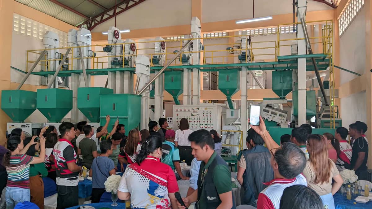 Da Rice Program Structure DA PhilMech turns over P18.51M rice processing system to Pastrana