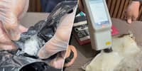 NAIA mail: Foreign parcels yield P43.7M
‘narcotics’