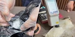 NAIA mail: Foreign parcels yield P43.7M
‘narcotics’
