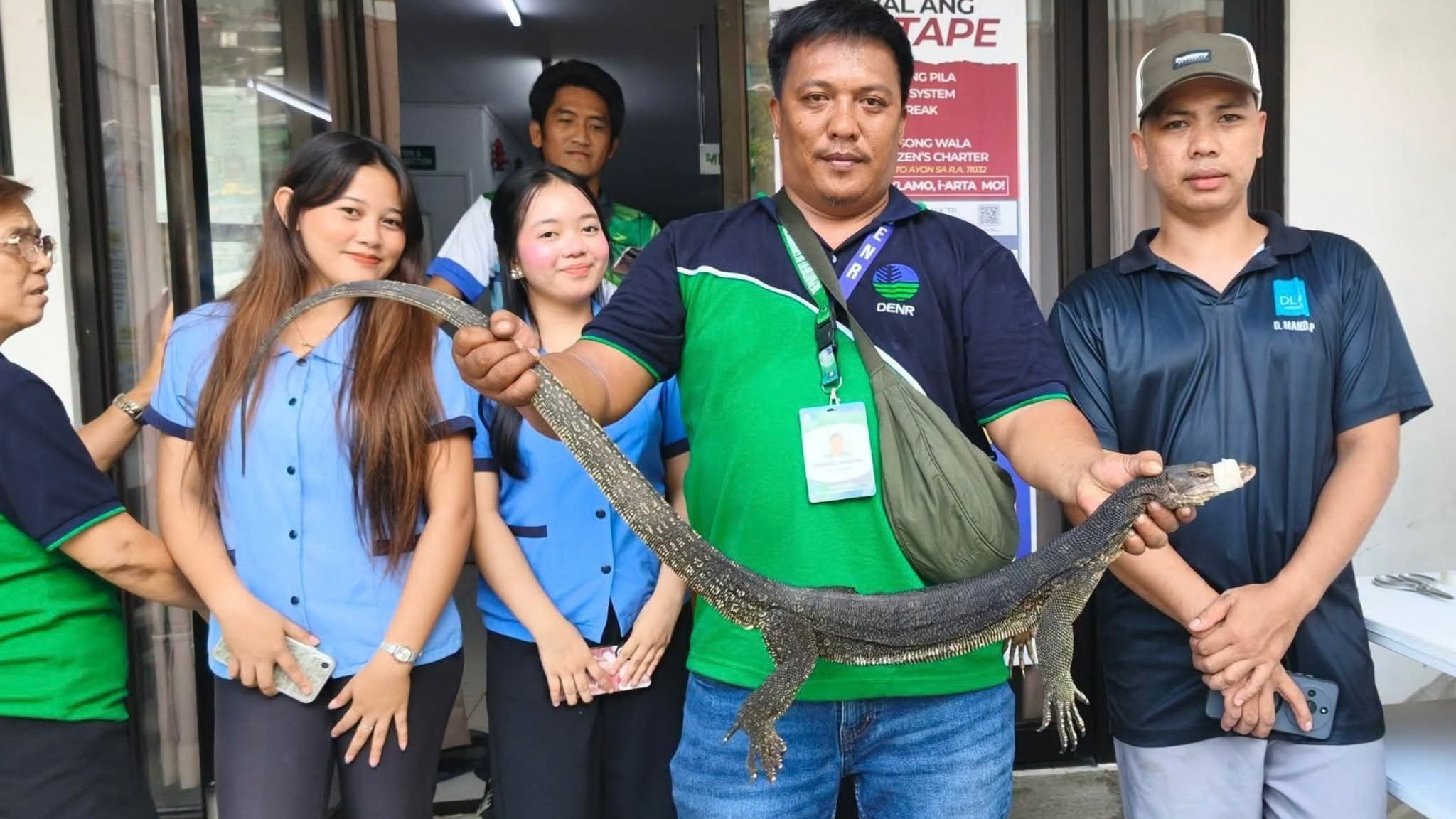 Marbled water monitor rescued in Olongapo, turned over for rehabilitation