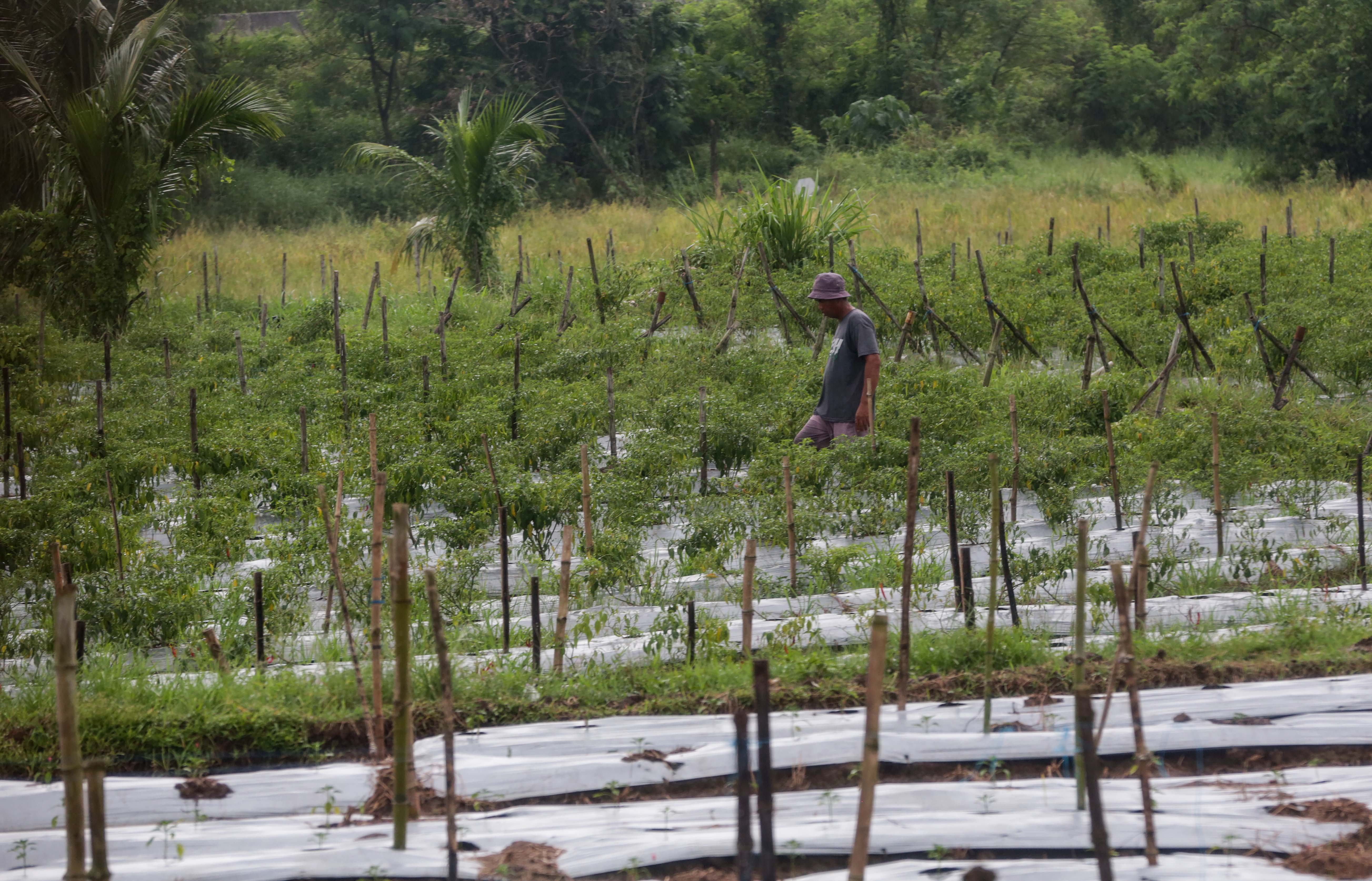 Gov’t revives 59 deep wells amid El Niño threat