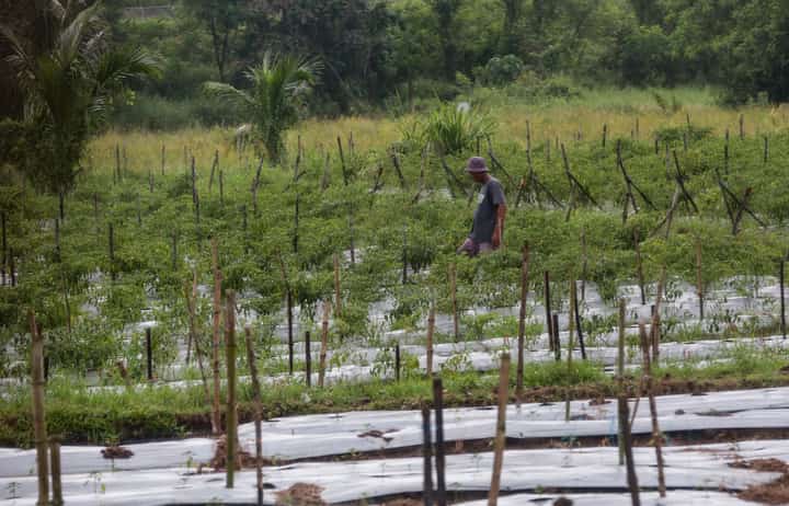 Gov’t revives 59 deep wells amid El Niño threat
