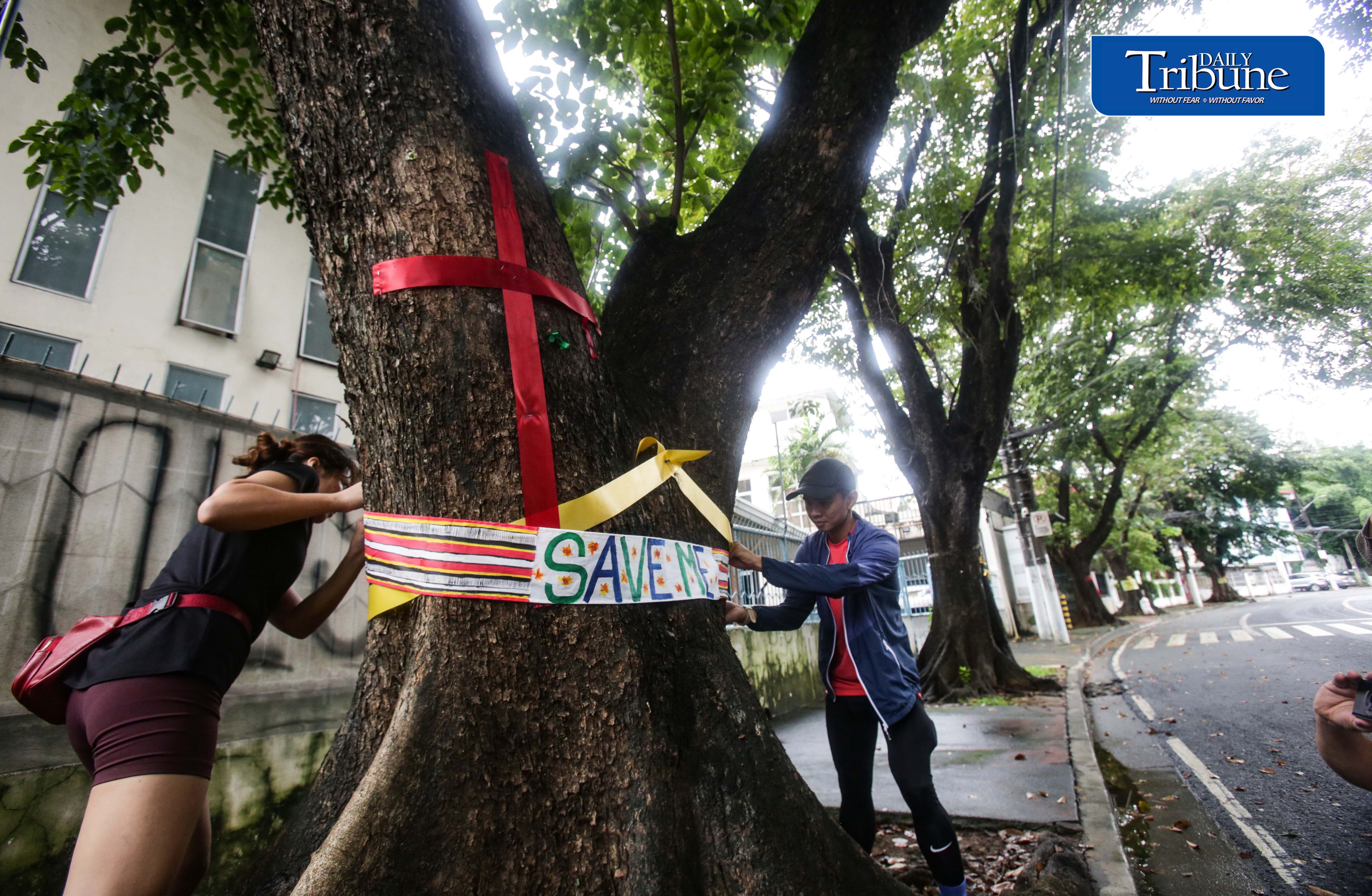 Save the tree, Marikina Kontra Agos