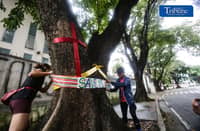 (October 11 2026) Marikina Kontra Agos an Environmentalists and advocates group, stage tree-tagging symbolically placed artworks and nature walk in Provident, Marikina to save trees on Sunday, October 11, 2026, as part of their protest of the planned construction of Asian Development Bank Bridge 1 under the Metro Manila Bridges Project. The group strongly opposes the project, arguing that the construction would require the cutting of century-old and decades-old trees, the groups also warn that removing the mature trees could worsen flood risks, damage the local environment, and intensify urban heat. Photo/Analy Labor
