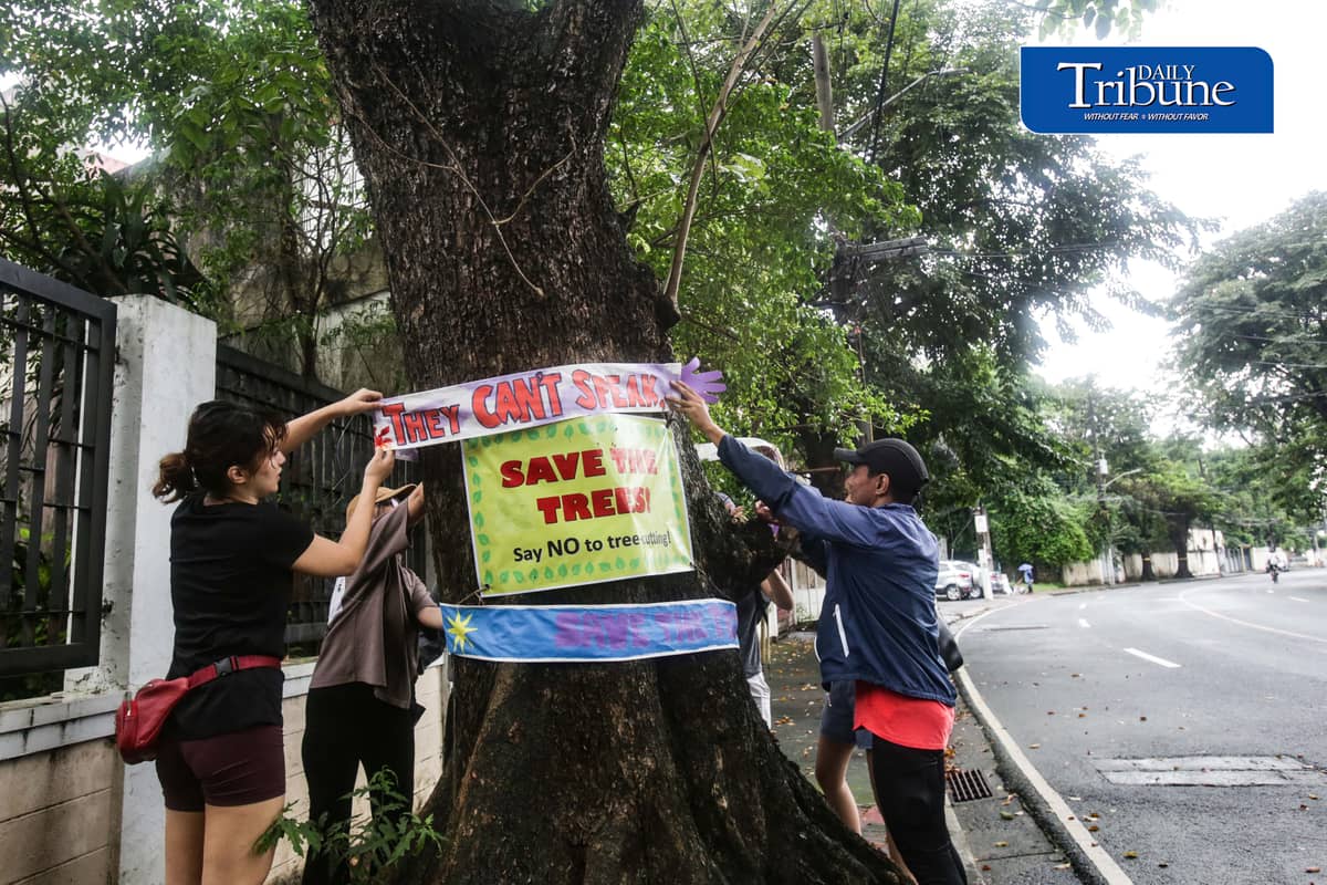 (October 11 2026) Marikina Kontra Agos an Environmentalists and advocates group, stage tree-tagging symbolically placed artworks and nature walk in Provident, Marikina to save trees on Sunday, October 11, 2026, as part of their protest of the planned construction of Asian Development Bank Bridge 1 under the Metro Manila Bridges Project. The group strongly opposes the project, arguing that the construction would require the cutting of century-old and decades-old trees, the groups also warn that removing the mature trees could worsen flood risks, damage the local environment, and intensify urban heat. Photo/Analy Labor