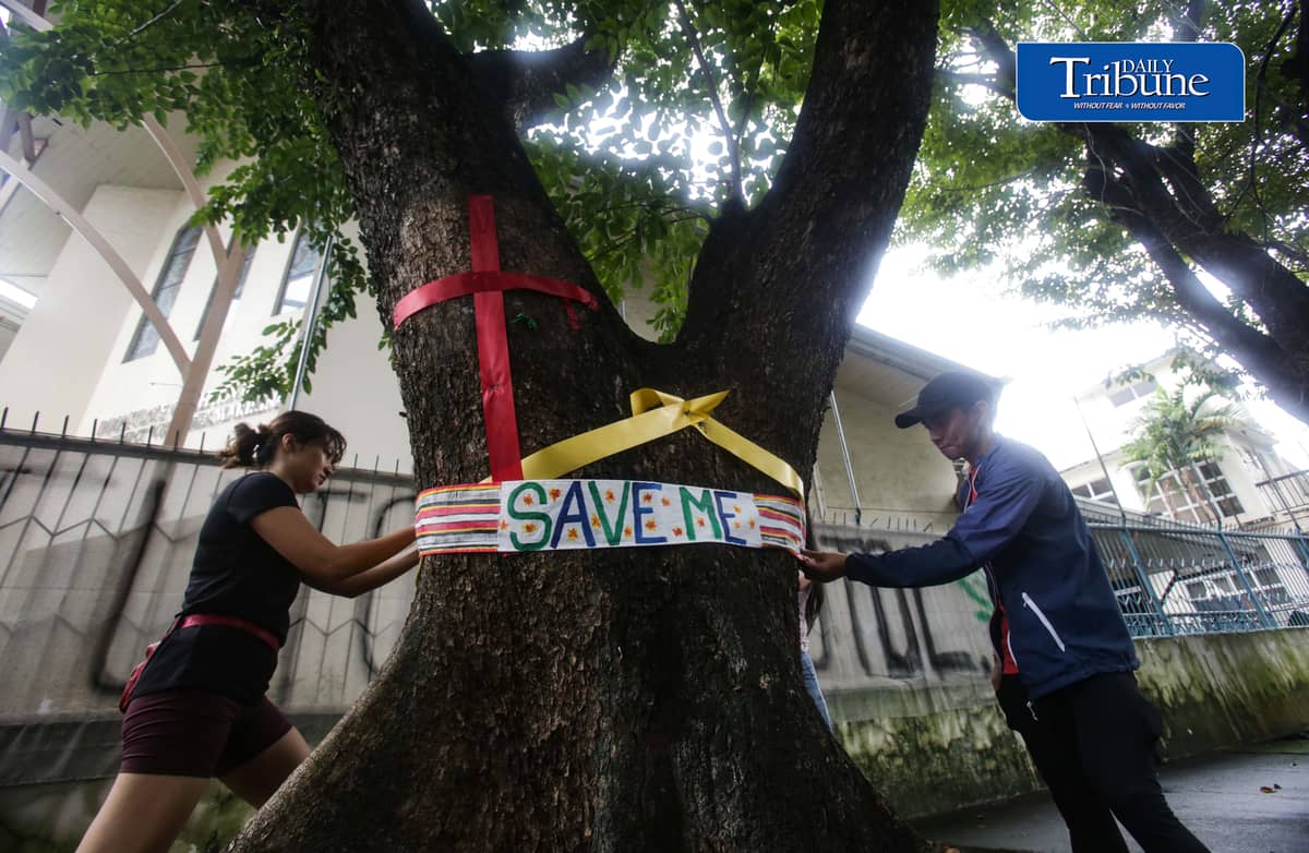 (October 11 2026) Marikina Kontra Agos an Environmentalists and advocates group, stage tree-tagging symbolically placed artworks and nature walk in Provident, Marikina to save trees on Sunday, October 11, 2026, as part of their protest of the planned construction of Asian Development Bank Bridge 1 under the Metro Manila Bridges Project. The group strongly opposes the project, arguing that the construction would require the cutting of century-old and decades-old trees, the groups also warn that removing the mature trees could worsen flood risks, damage the local environment, and intensify urban heat. Photo/Analy Labor