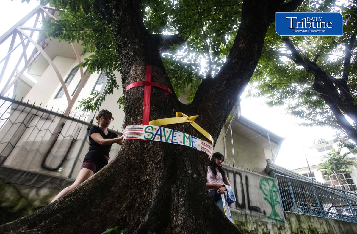 (October 11 2026) Marikina Kontra Agos an Environmentalists and advocates group, stage tree-tagging symbolically placed artworks and nature walk in Provident, Marikina to save trees on Sunday, October 11, 2026, as part of their protest of the planned construction of Asian Development Bank Bridge 1 under the Metro Manila Bridges Project. The group strongly opposes the project, arguing that the construction would require the cutting of century-old and decades-old trees, the groups also warn that removing the mature trees could worsen flood risks, damage the local environment, and intensify urban heat. Photo/Analy Labor