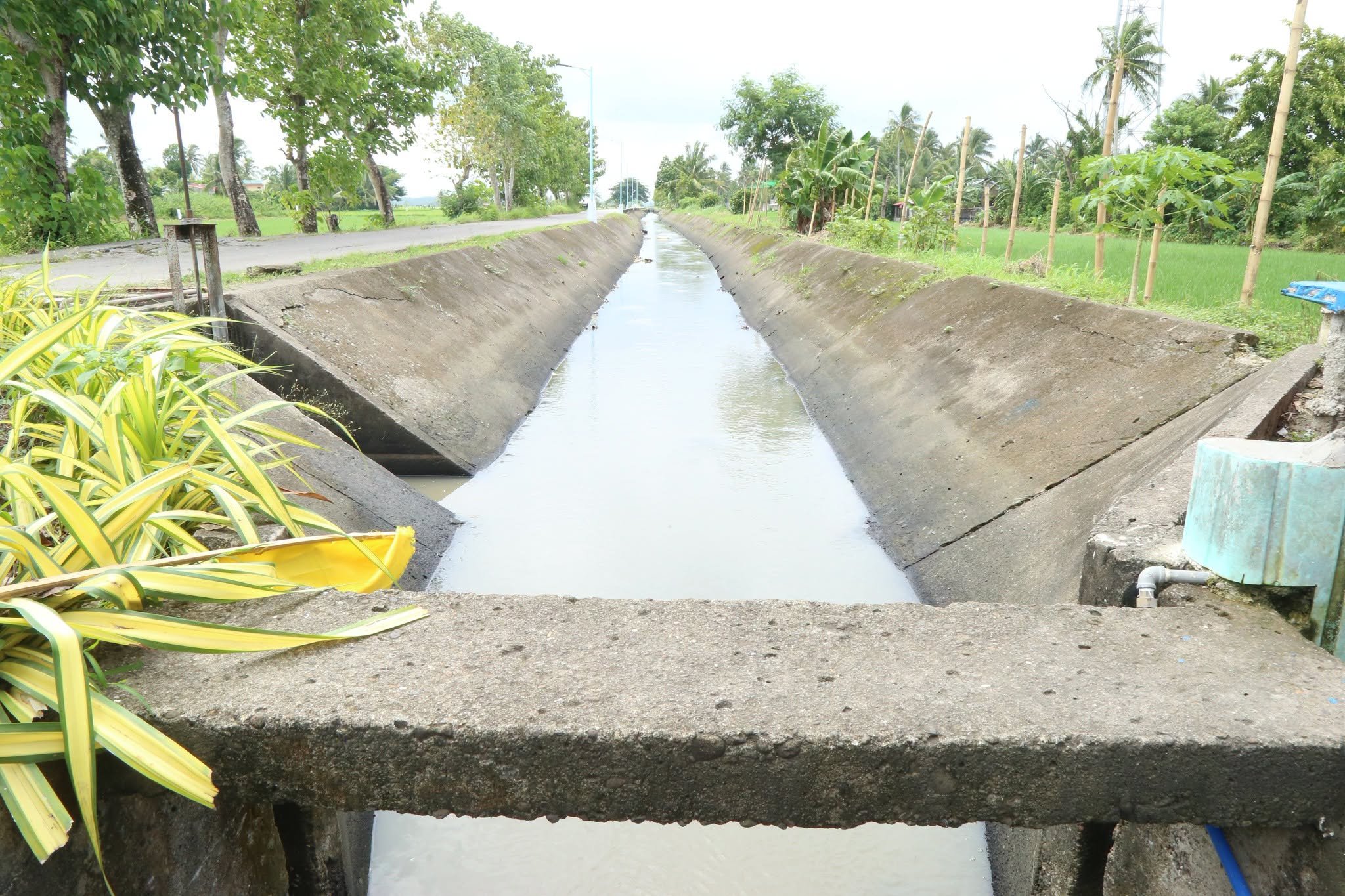Bicol LGUs begin info campaigns, roll out preps for ‘Super El Niño’