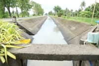Irrigation canal in Libmanan, Camarines Sur still with enough water to irrigate farms amid Super El Niño threat.