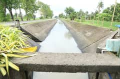 Bicol LGUs begin info campaigns, roll out preps for ‘Super El Niño’